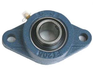 UCFT206-19 Pillow Block Bearing 1 3/16'' 2-Bolt Flange Bearings