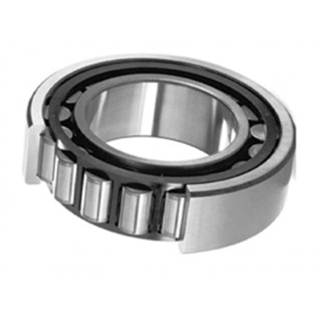 2TS3-6203ZZC5/LX#01 NTN Radial/Deep Groove Ball Bearings