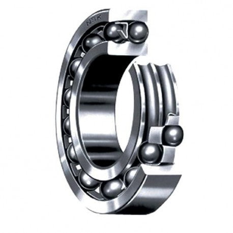 2205 K2RSTNG NSK Double-Row Self-Aligning Ball